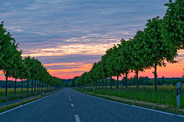 Succession Planning for Professional Services Thumbnail