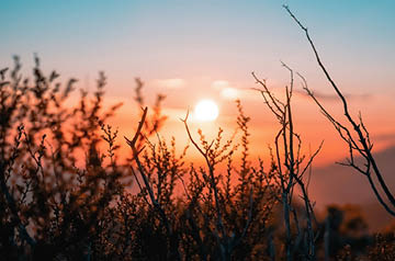 Collaborate on Occupational Mix Survey Thumbnail