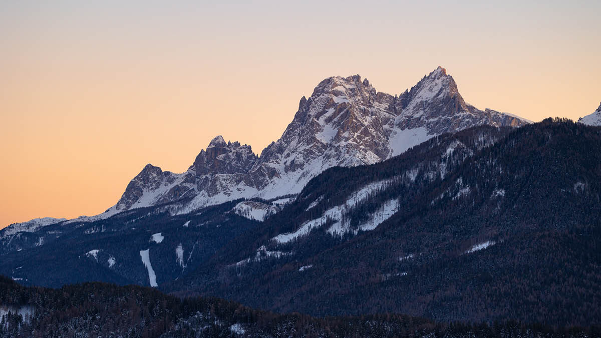 2025 Executive Health Care Conference: Investment and Diversification Strategies