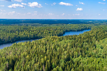 A winding river through a dense forest