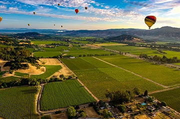 hot air balloons over fields on sunny day