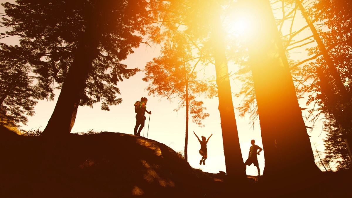 Summer 2025 Tax Update for Not-for-Profit Organizations