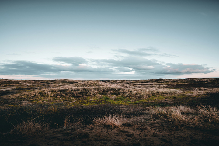 Deliver Impactful Health Care