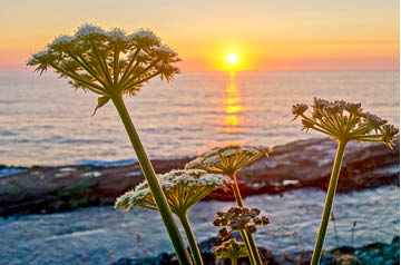 coastal sunset