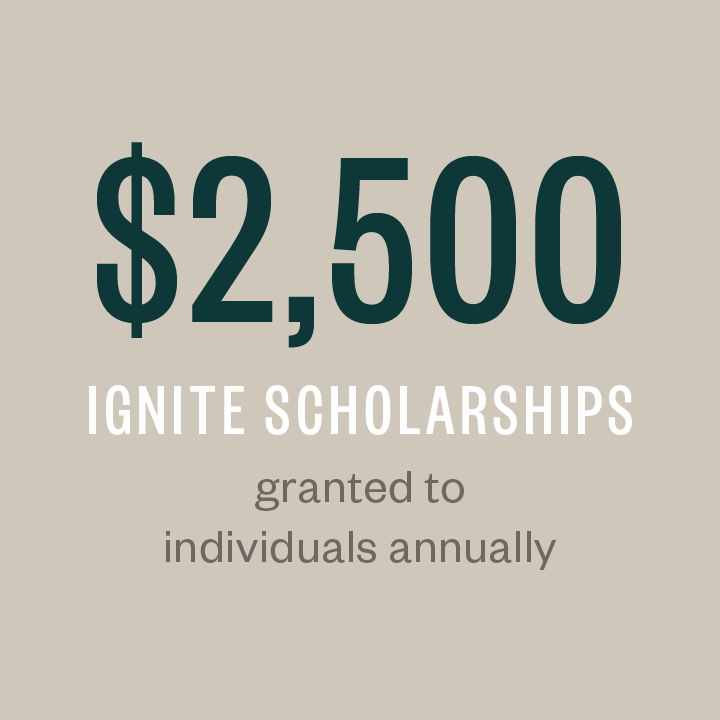 $2,500 ignite scholarship granted to individuals annually to promote diversity in the accounting profession