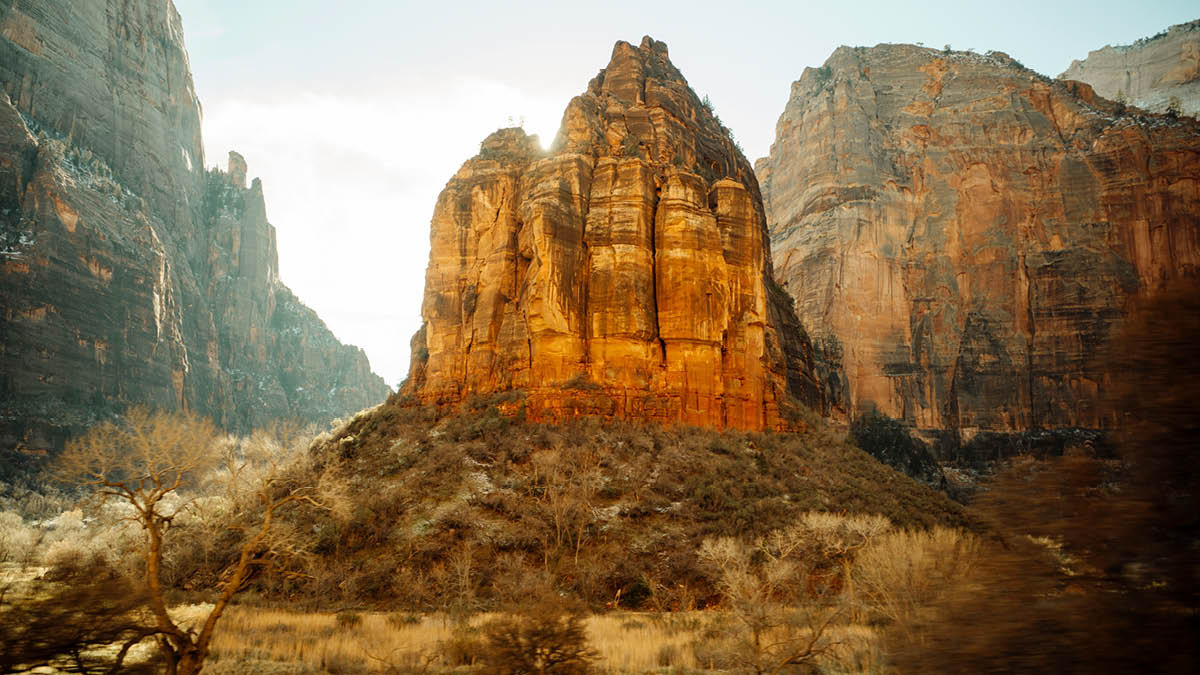 2025 Executive Health Care Conference: Behavioral Health Access, Reimbursement, and Reform