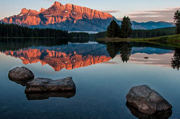 Plan for the Occupational Mix Survey Thumbnail